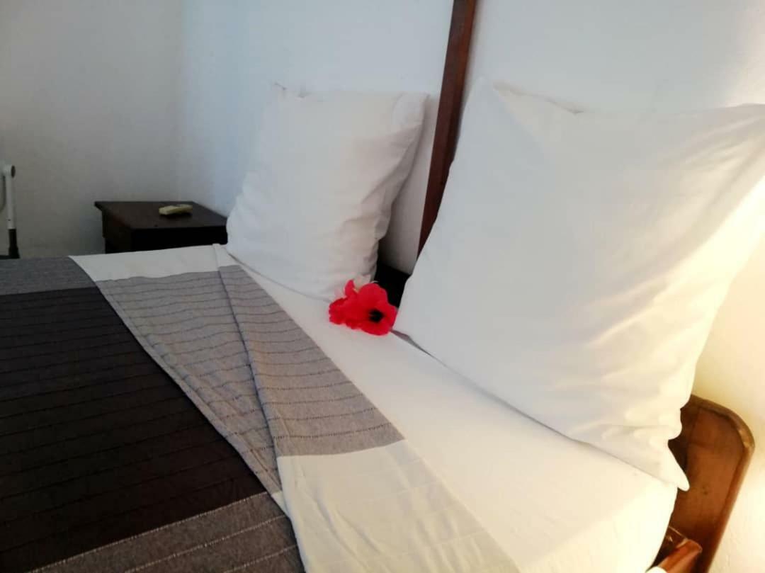 Hotel Jardin De La Paix Moroni Eksteriør billede